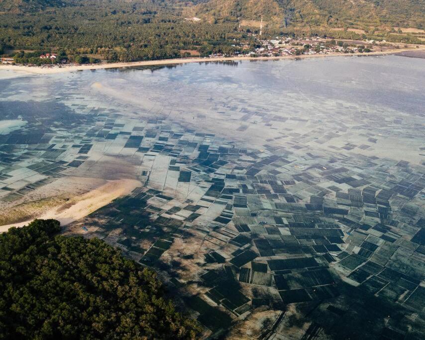 Beach-Front Sumbawa Surf House Lemonga Εξωτερικό φωτογραφία