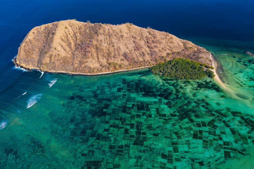 Beach-Front Sumbawa Surf House Lemonga Εξωτερικό φωτογραφία
